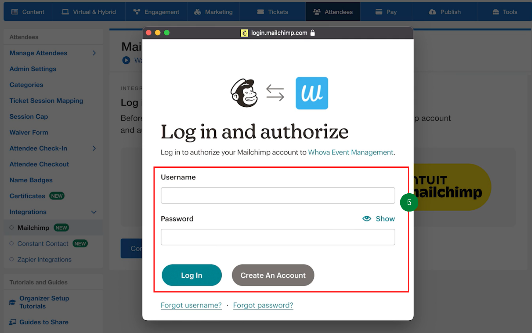 log in and authorize.png
